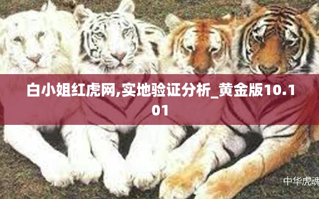 白小姐红虎网,实地验证分析_黄金版10.101