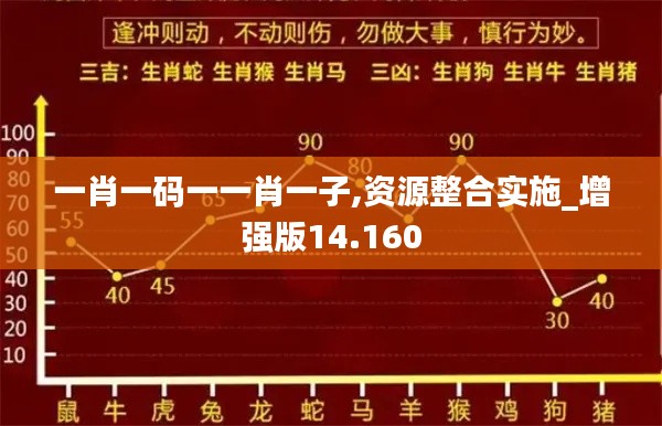一肖一码一一肖一子,资源整合实施_增强版14.160