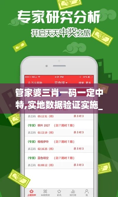 管家婆三肖一码一定中特,实地数据验证实施_10DM15.718