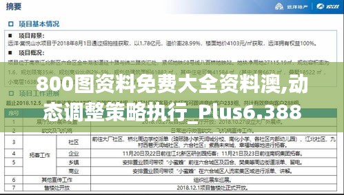 800图资料免费大全资料澳,动态调整策略执行_Plus6.388