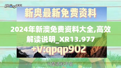 2024年新澳免费资料大全,高效解读说明_XR13.977
