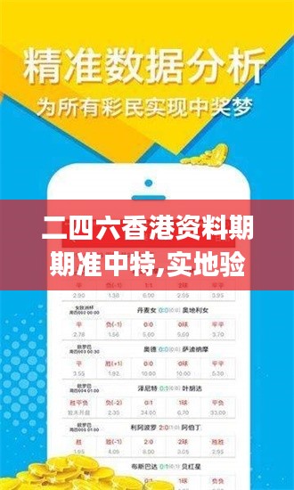 二四六香港资料期期准中特,实地验证数据计划_入门版2.899