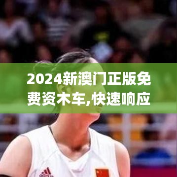 2024新澳门正版免费资木车,快速响应设计解析_特供版18.330