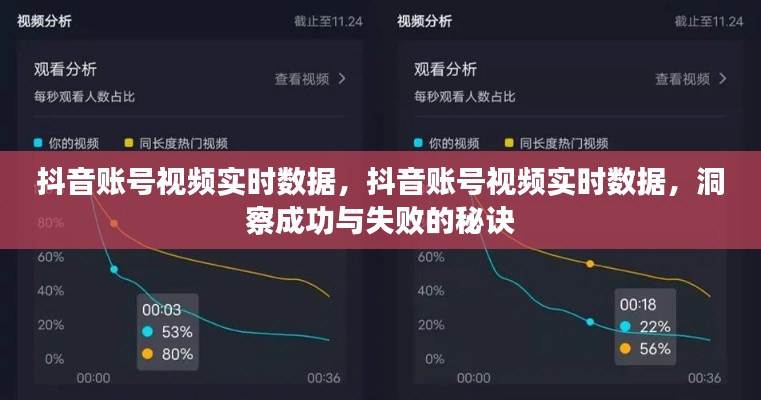 抖音账号视频实时数据解析，揭秘成功与失败的秘诀洞察。