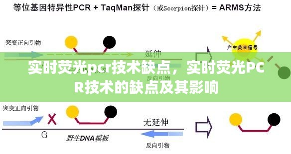 实时荧光PCR技术的缺点及其潜在影响分析