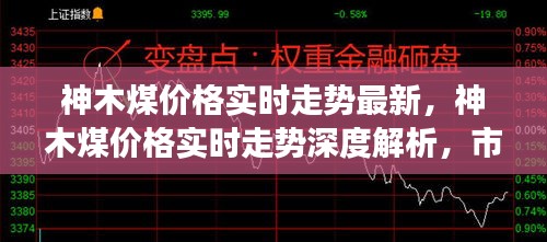 神木煤价格实时走势深度解析，市场动向、影响因素与最新发展报告