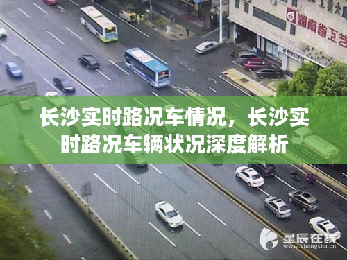 长沙实时路况深度解析，车辆状况与交通状况分析