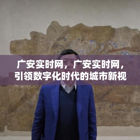 广安实时网，引领数字化时代城市新视界风潮