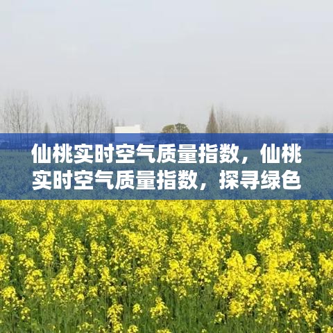 仙桃实时空气质量指数，探寻绿色呼吸的天堂