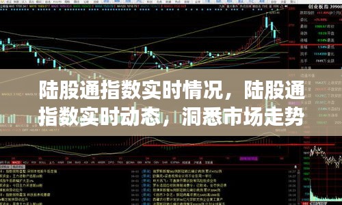 陆股通指数实时动态解析，市场走势洞察与应对策略