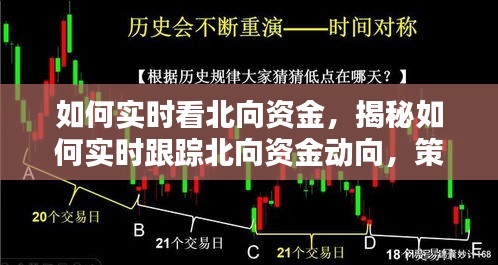 揭秘实时跟踪北向资金动向的策略与工具，掌握策略，洞悉动向！