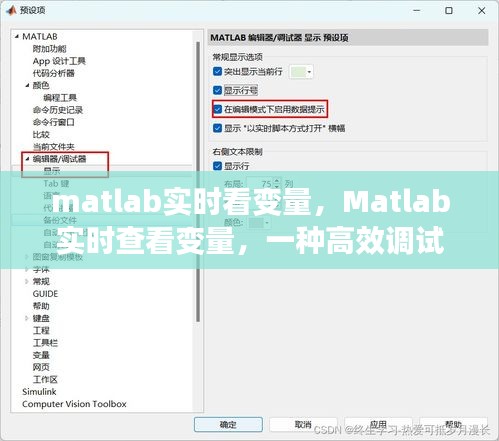 Matlab实时查看变量，高效调试与数据分析的实用方法