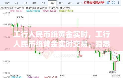 工行人民币纸黄金实时交易，洞悉市场动态与策略指南