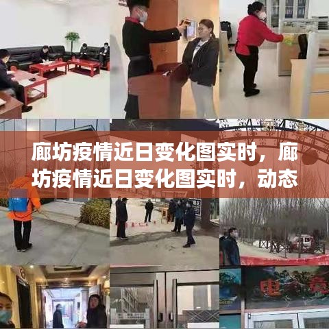廊坊疫情实时变化图，动态观察与数据解析报告