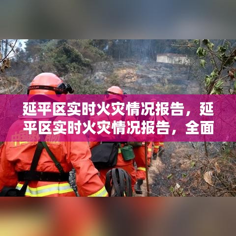 张冠李戴 第4页