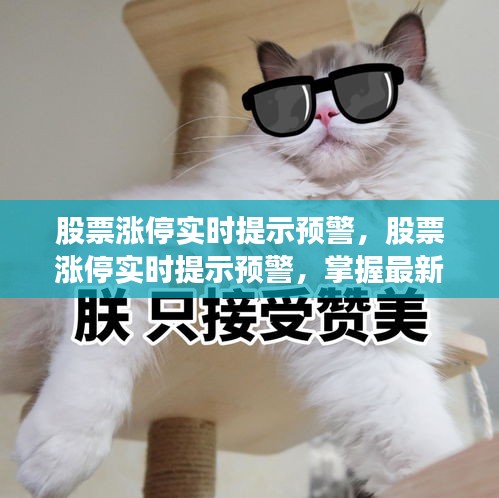 股票涨停实时预警，掌握最新动态，引领投资先机