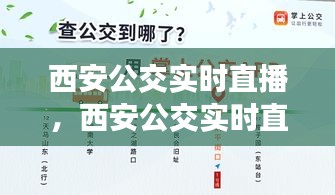 西安公交实时直播，城市脉络的新视角探索