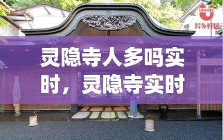灵隐寺实时游客数量解析与现场体验分享