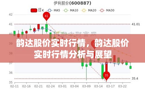 韵达股价实时行情分析与展望，最新动态及未来趋势预测