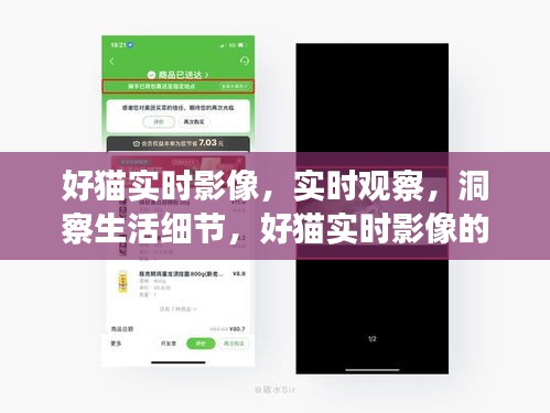 好猫实时影像，捕捉生活细节，展现洞察魅力
