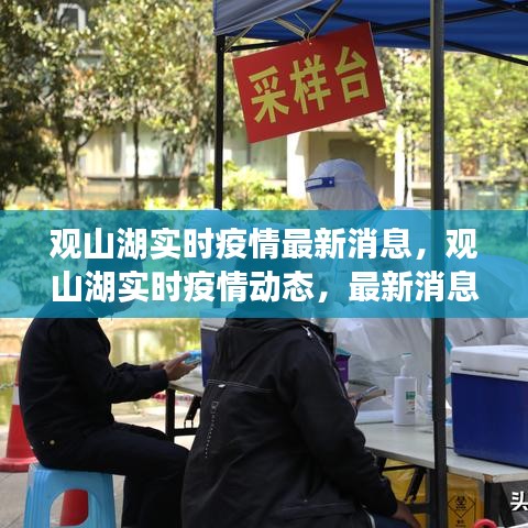 观山湖实时疫情动态，最新消息与深度分析