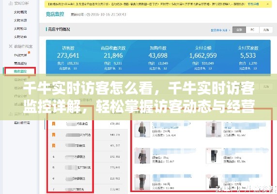 千牛实时访客监控详解，掌握访客动态，调整经营策略，轻松洞悉流量趋势