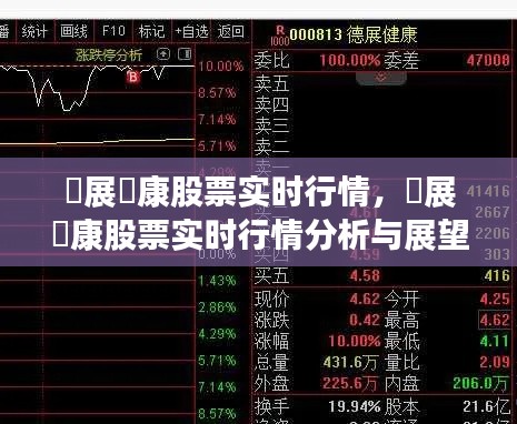 德展寮康股票实时行情分析与展望，最新动态及未来趋势预测