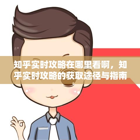 知乎实时攻略获取途径与指南，如何查看知乎最新攻略资讯？