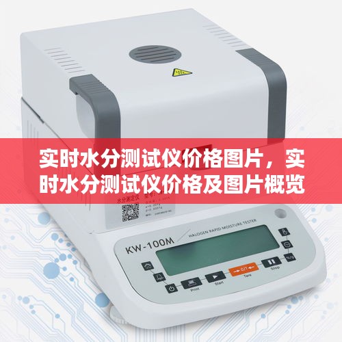 实时水分测试仪价格与图片概览