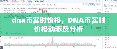 DNA币实时价格动态及深度分析