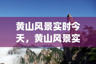 国色天香 第4页