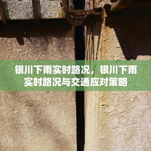 银川下雨实时路况及应对策略，实时掌握路况，有效应对交通挑战