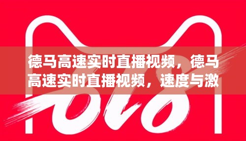 德马高速实时直播，速度与激情的交织与安全的展现