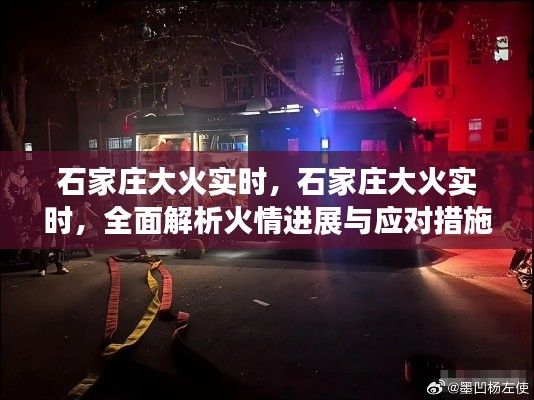 张狂妄行 第3页
