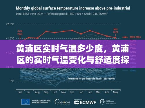 黄浦区的实时气温变化与舒适度深度探讨，气温实时更新至XX度