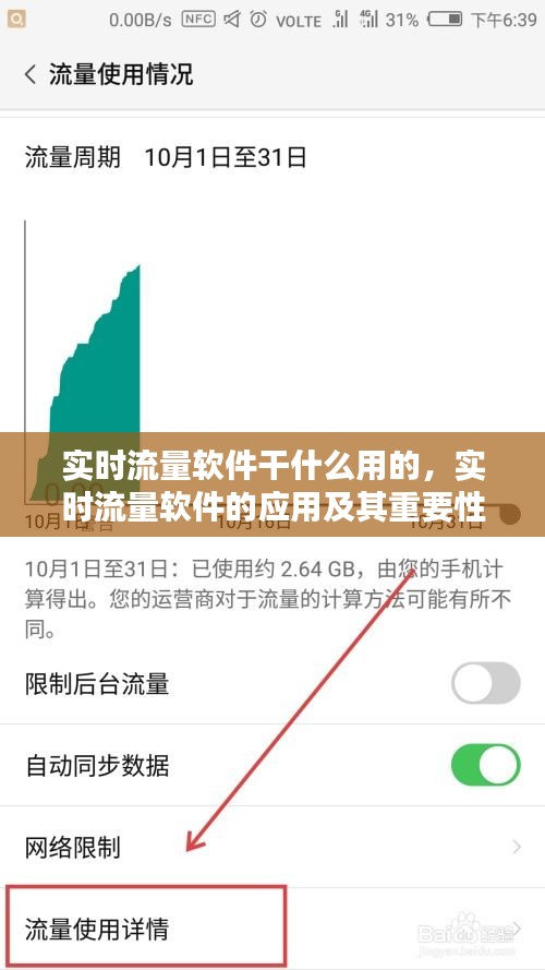 实时流量软件的应用、作用及其重要性解析