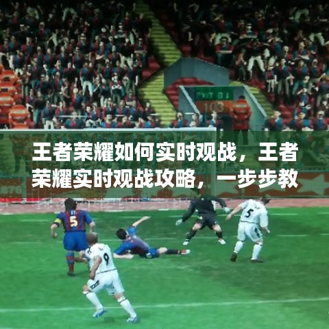 母凭子贵