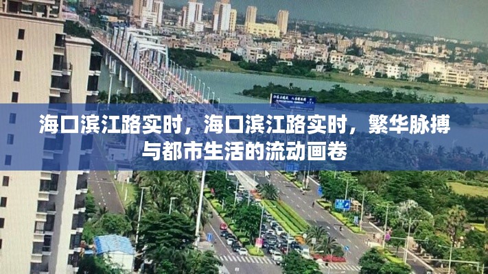 海口滨江路繁华脉搏的都市生活流动画卷实时更新中