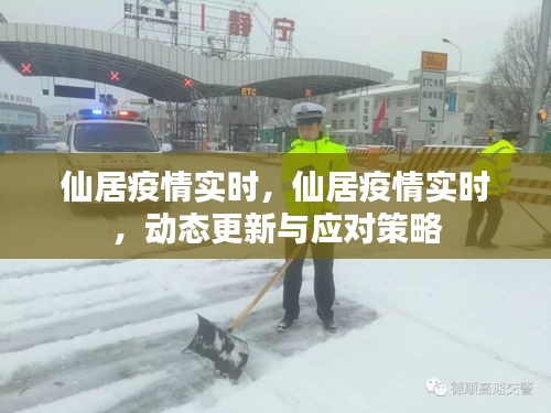 仙居疫情实时动态更新与应对策略