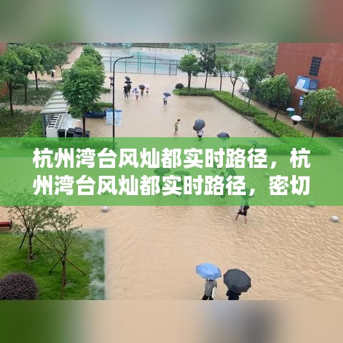 杭州湾台风灿都实时路径，密切关注与应对准备行动启动