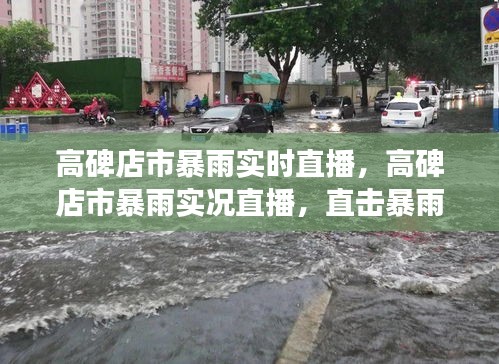 高碑店市暴雨实况直播，关注民生安全，直击暴雨现场