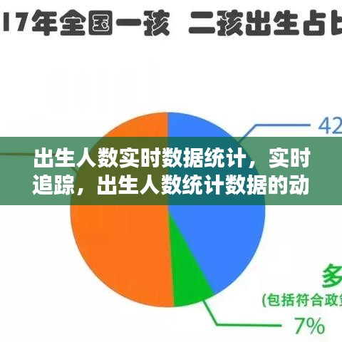 实时追踪出生人数统计，动态分析与数据洞察