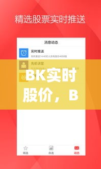 BK实时股价，洞悉股市动态，把握投资先机