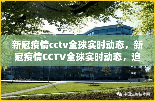 栖冲业简 第4页