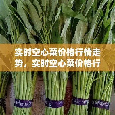 实时空心菜价格行情走势分析与预测