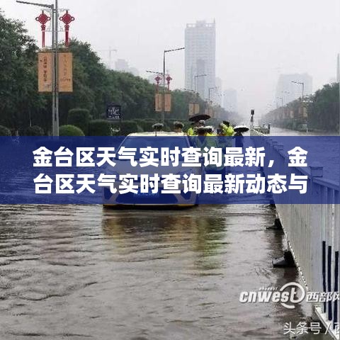 金台区天气实时查询最新动态及影响分析简报
