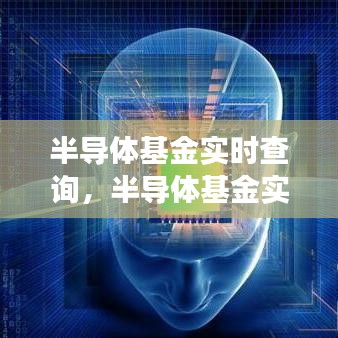 半导体基金实时查询，洞悉市场走向，掌握投资动态