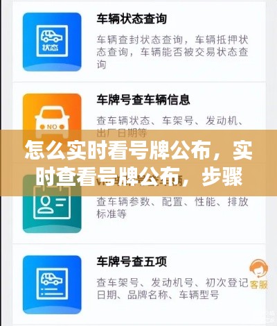 实时查看号牌公布，步骤与技巧详解指南