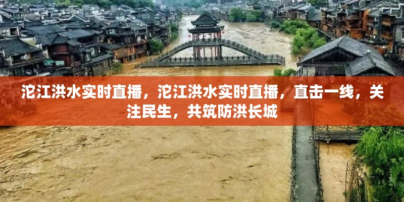 沱江洪水一线直击，实时直播关注民生，共筑防洪长城