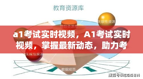 A1考试实时视频，掌握最新动态，助力成功通关